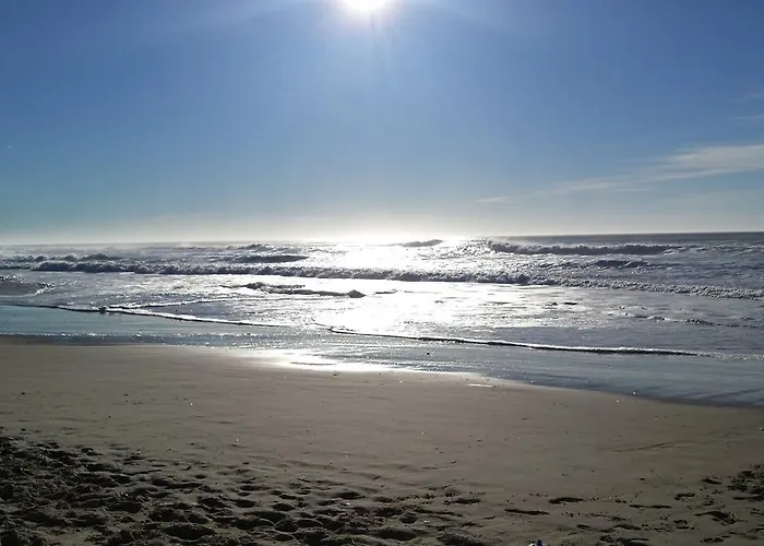 Les Jardins De L'ocean - Climatisé