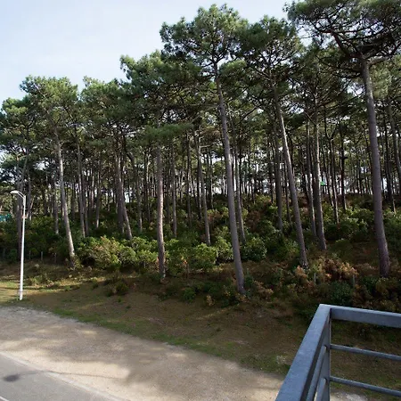 Les Jardins De L'ocean