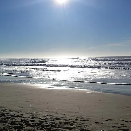 Les Jardins De L'ocean