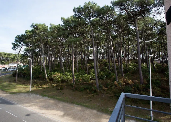 Les Jardins De L'ocean - Climatise